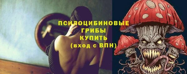 PSILOCYBIN Волоколамск